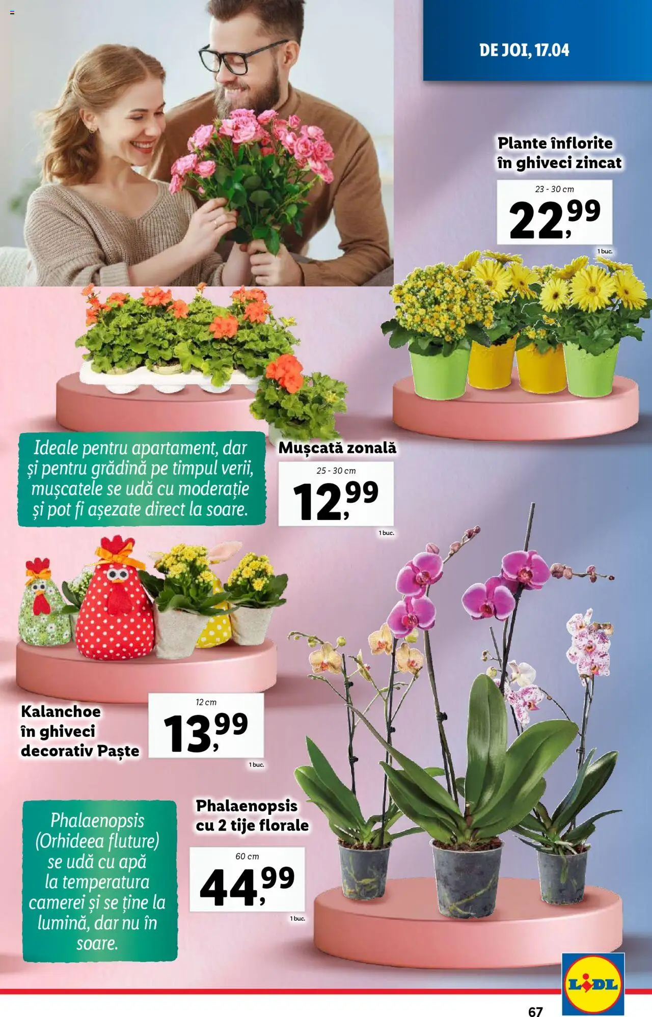 Catalog LIDL 14 - 19 Aprilie 2025 | Pagina 67 | Produse: Ghiveci, Paste, Apă