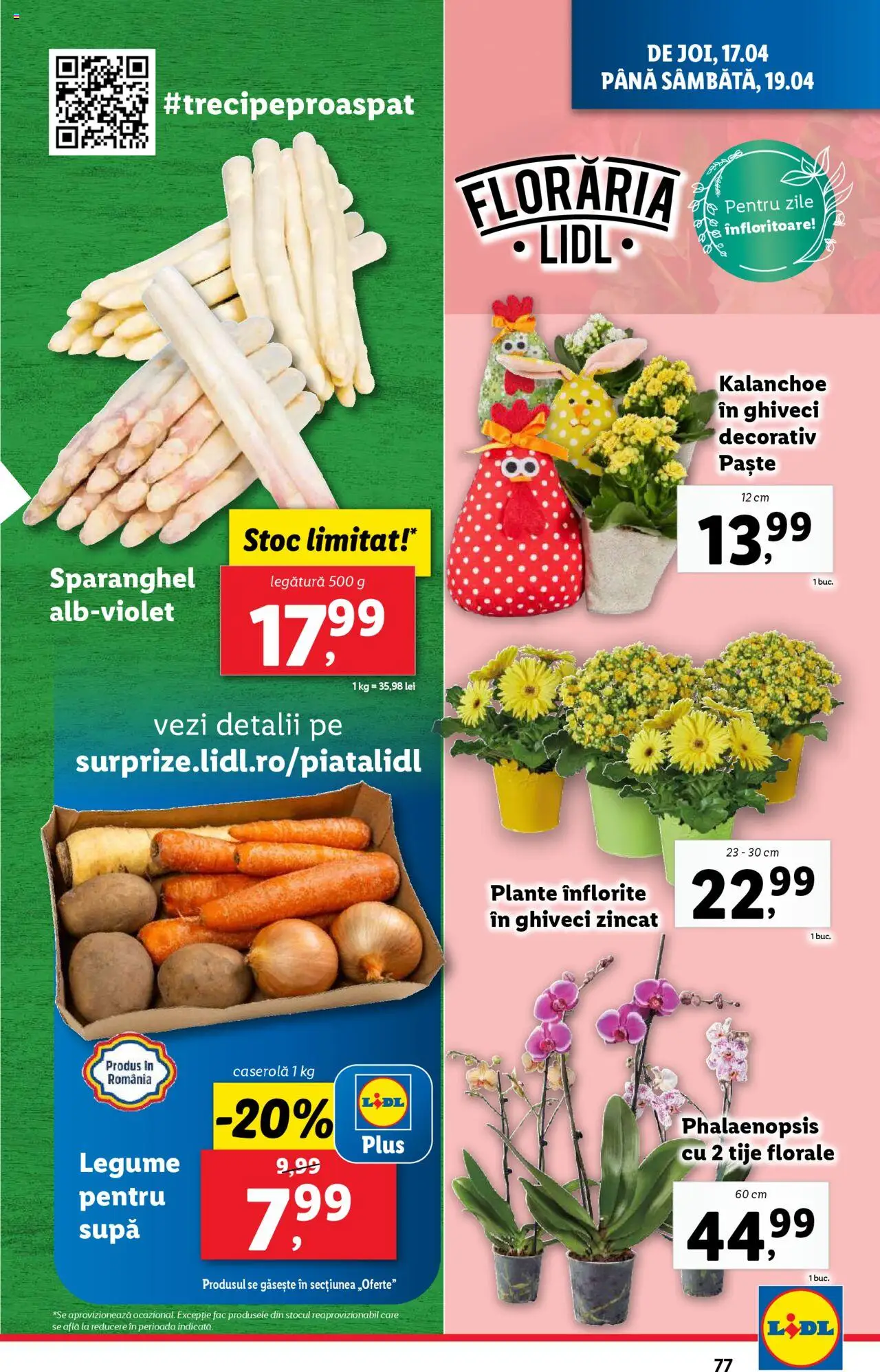 Catalog LIDL 14 - 19 Aprilie 2025 | Pagina 77 | Produse: Ghiveci, Paste, Legume