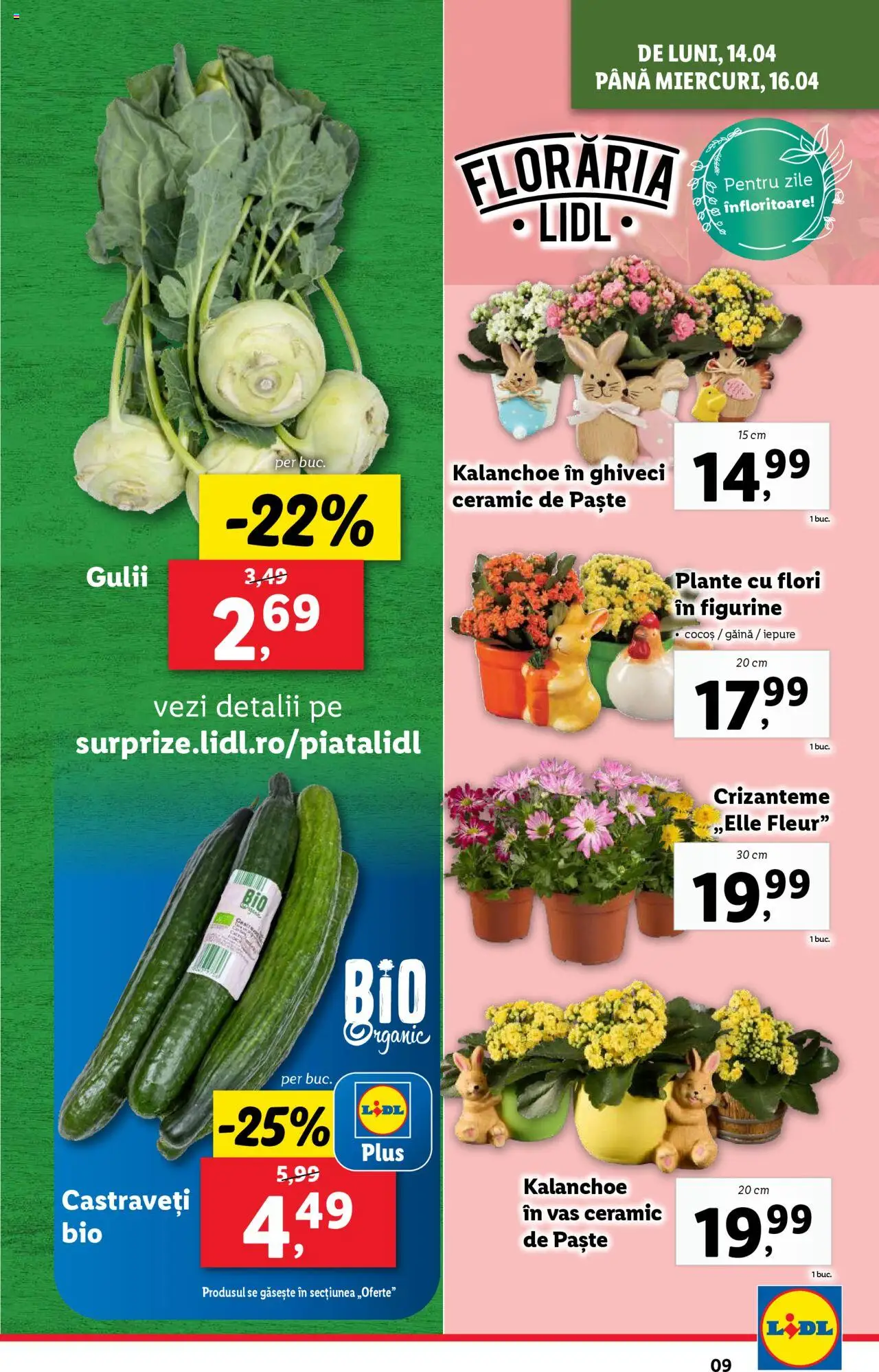 Catalog LIDL 14 - 19 Aprilie 2025 | Pagina 9 | Produse: Ghiveci, Paste, Castraveți