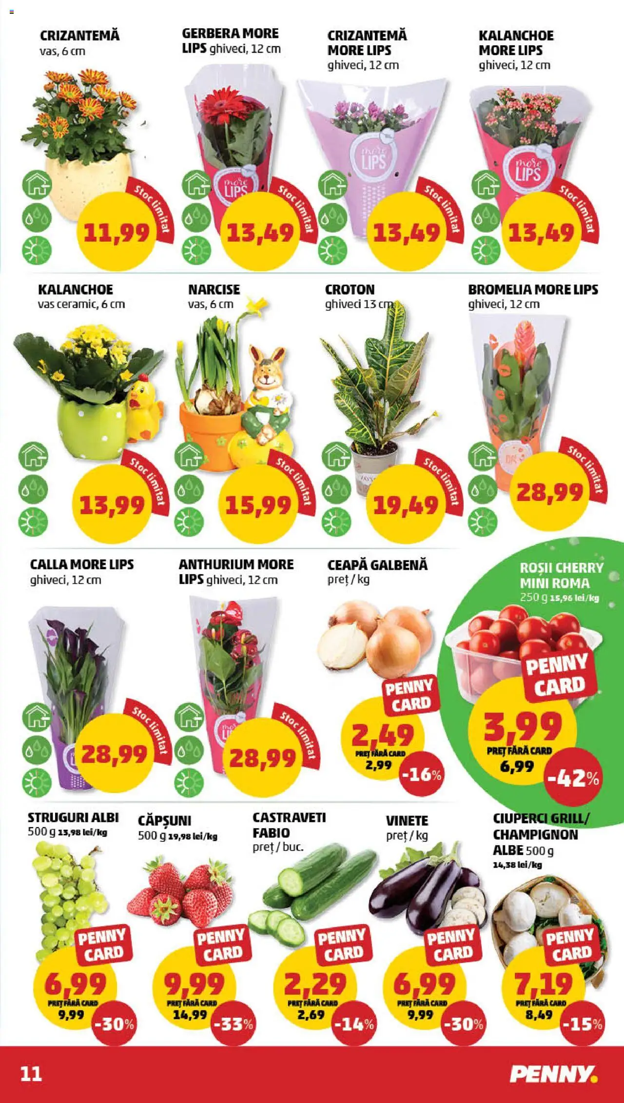 Catalog PENNY Market 9 - 15 Aprilie 2025 | Pagina 11 | Produse: Struguri, Ghiveci, Căpșuni, Ceapă