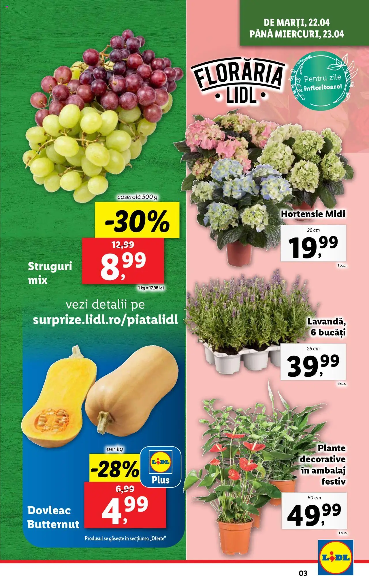 Catalog LIDL 22 - 27 Aprilie 2025 | Pagina 3 | Produse: Dovleac, Struguri