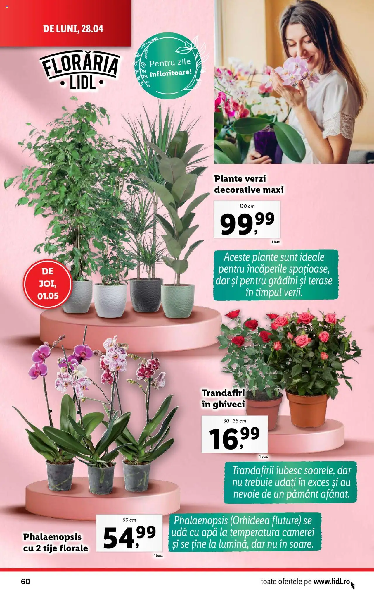 Catalog LIDL 28 Aprilie - 4 Mai 2025 | Pagina 60 | Produse: Ghiveci, Apă