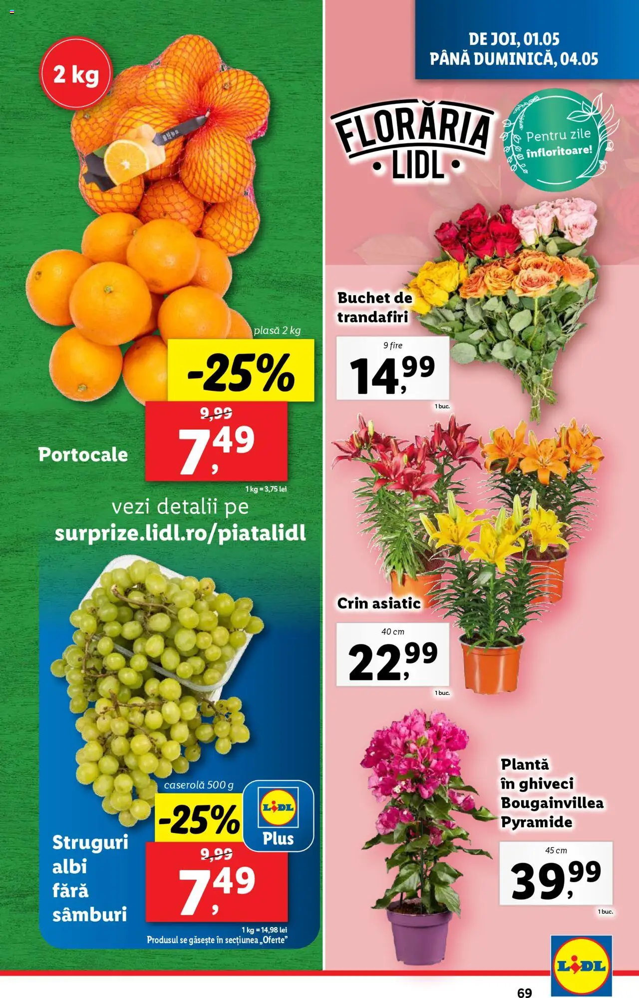 Catalog LIDL 28 Aprilie - 4 Mai 2025 | Pagina 69 | Produse: Struguri, Ghiveci, Portocale