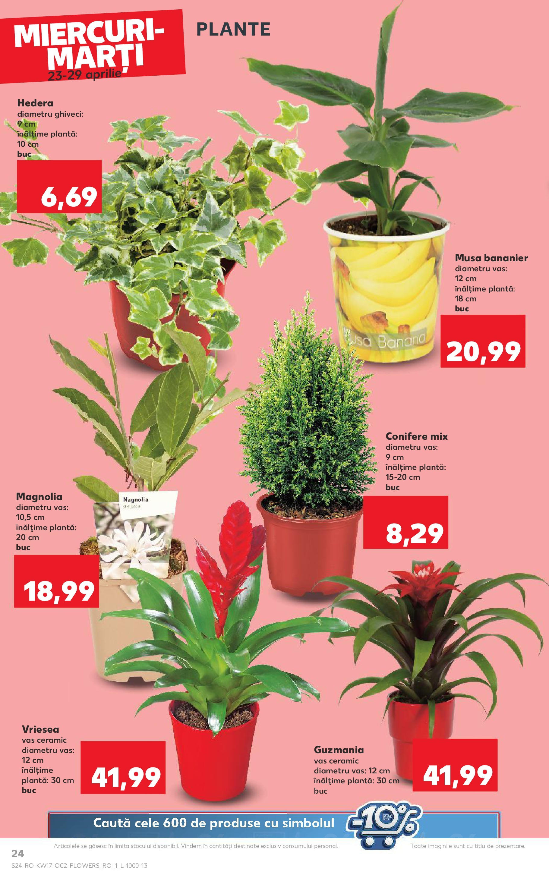 Catalog Kaufland 23 - 29 Aprilie 2025 | Pagina 24 | Produse: Ghiveci