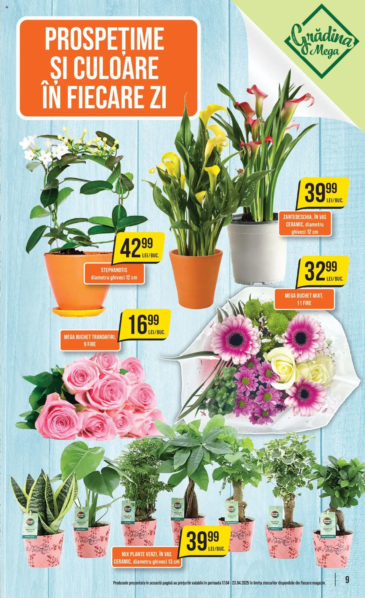 Catalog Mega Image 17 - 23 Aprilie 2025 | Pagina 9 | Produse: Ghiveci