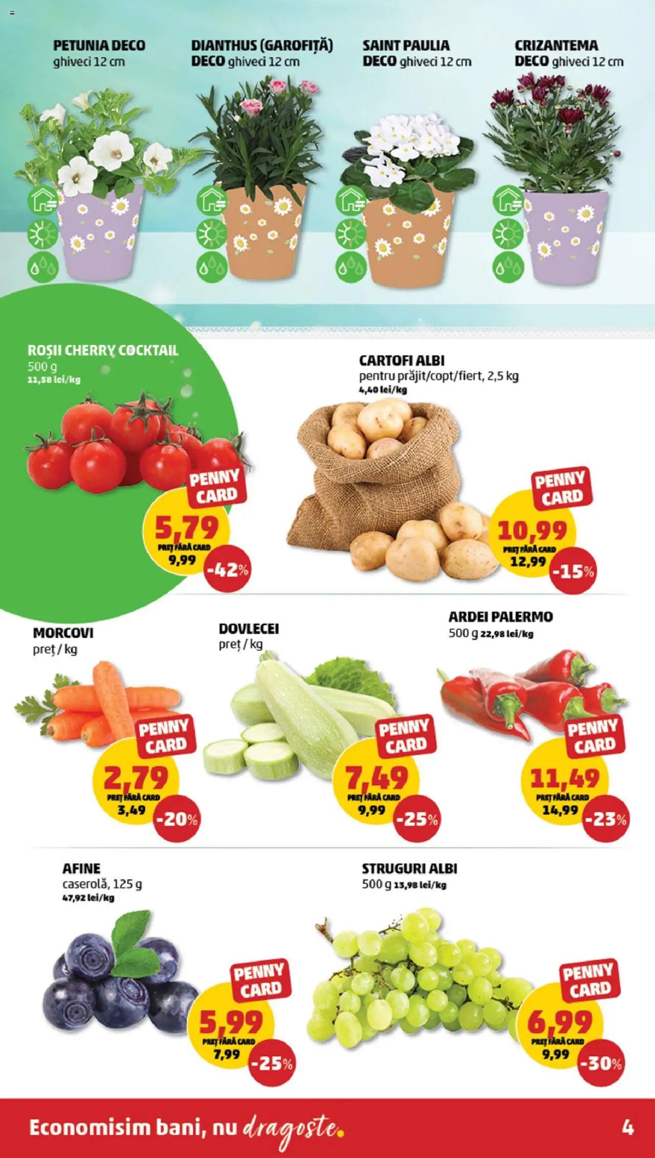 Catalog PENNY Market 23 - 29 Aprilie 2025 | Pagina 4 | Produse: Struguri, Afine, Roșii, Cartofi