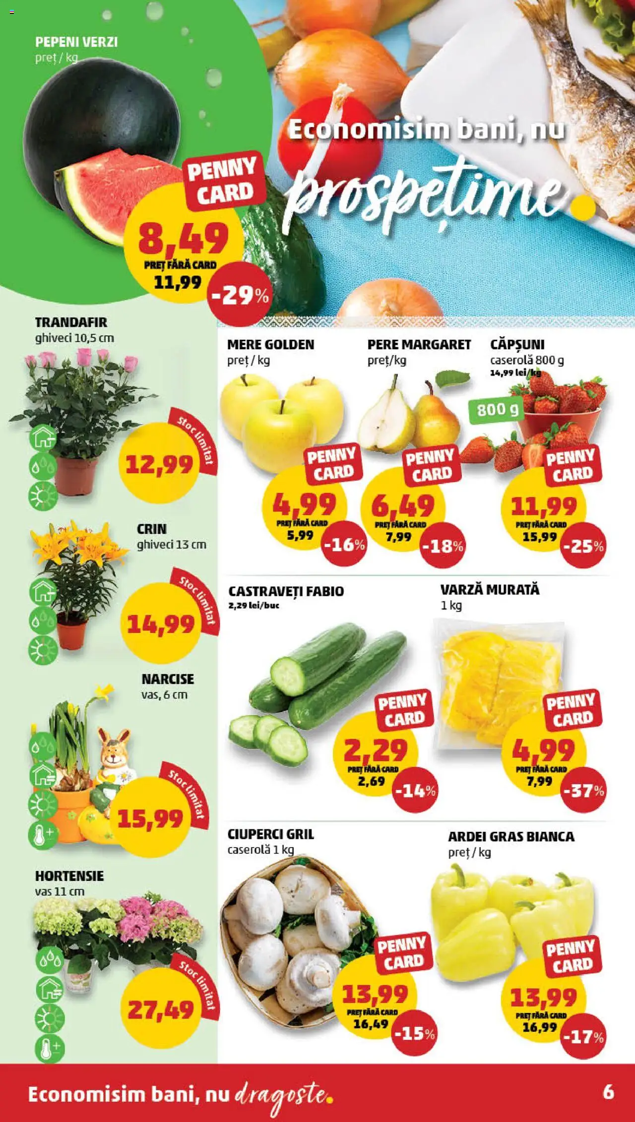 Catalog PENNY Market 16 - 22 Aprilie 2025 | Pagina 6 | Produse: Varză, Trandafir, Ghiveci, Ciuperci