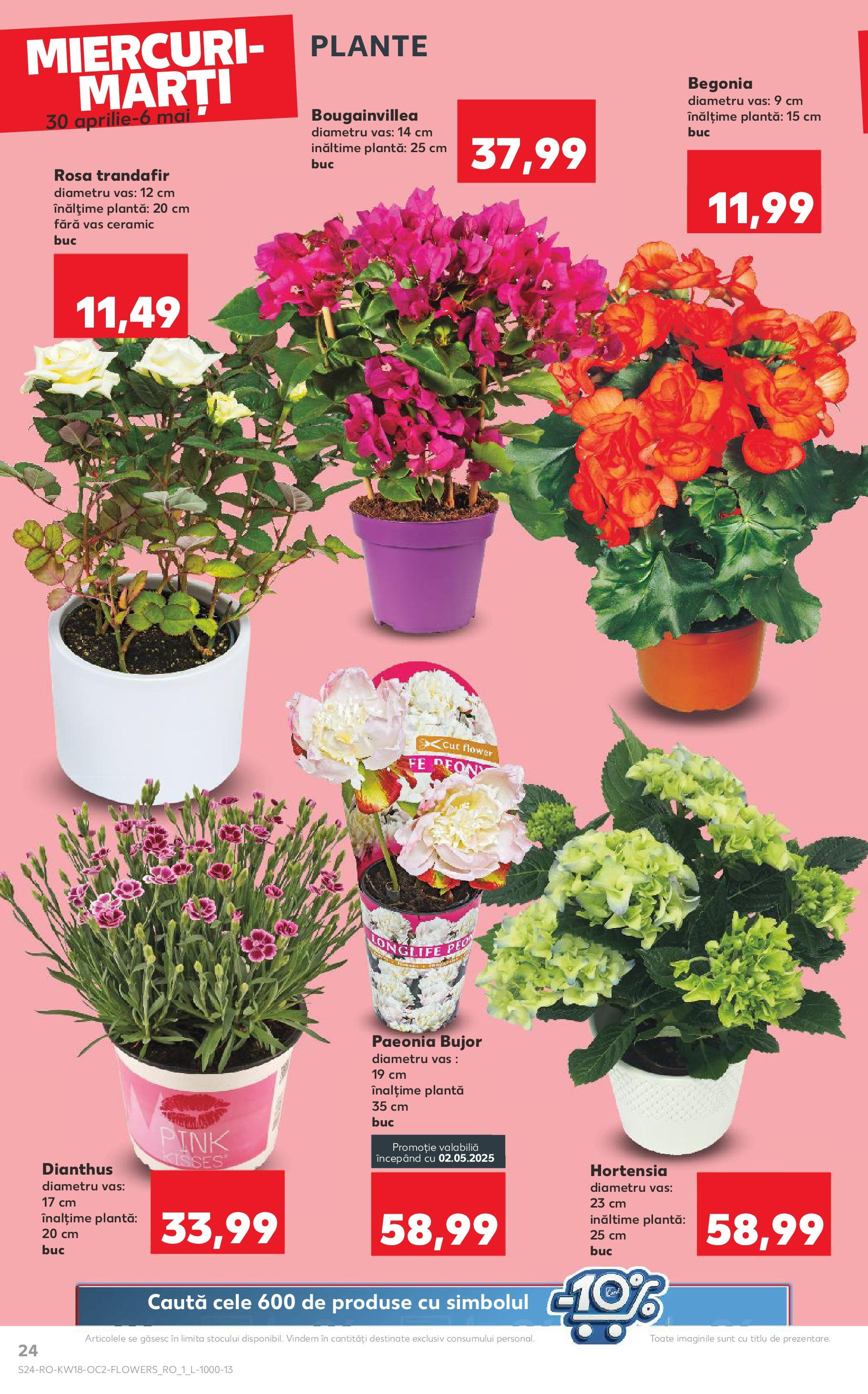 Catalog Kaufland 30 Aprilie - 6 Mai 2025 | Pagina 24 | Produse: Trandafir