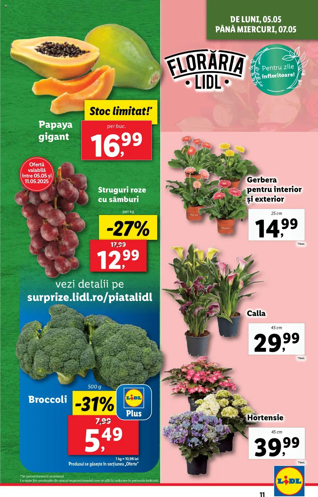 Catalog LIDL 5 - 11 Mai 2025 | Pagina 11 | Produse: Struguri, Boncuklu Oyuncakları