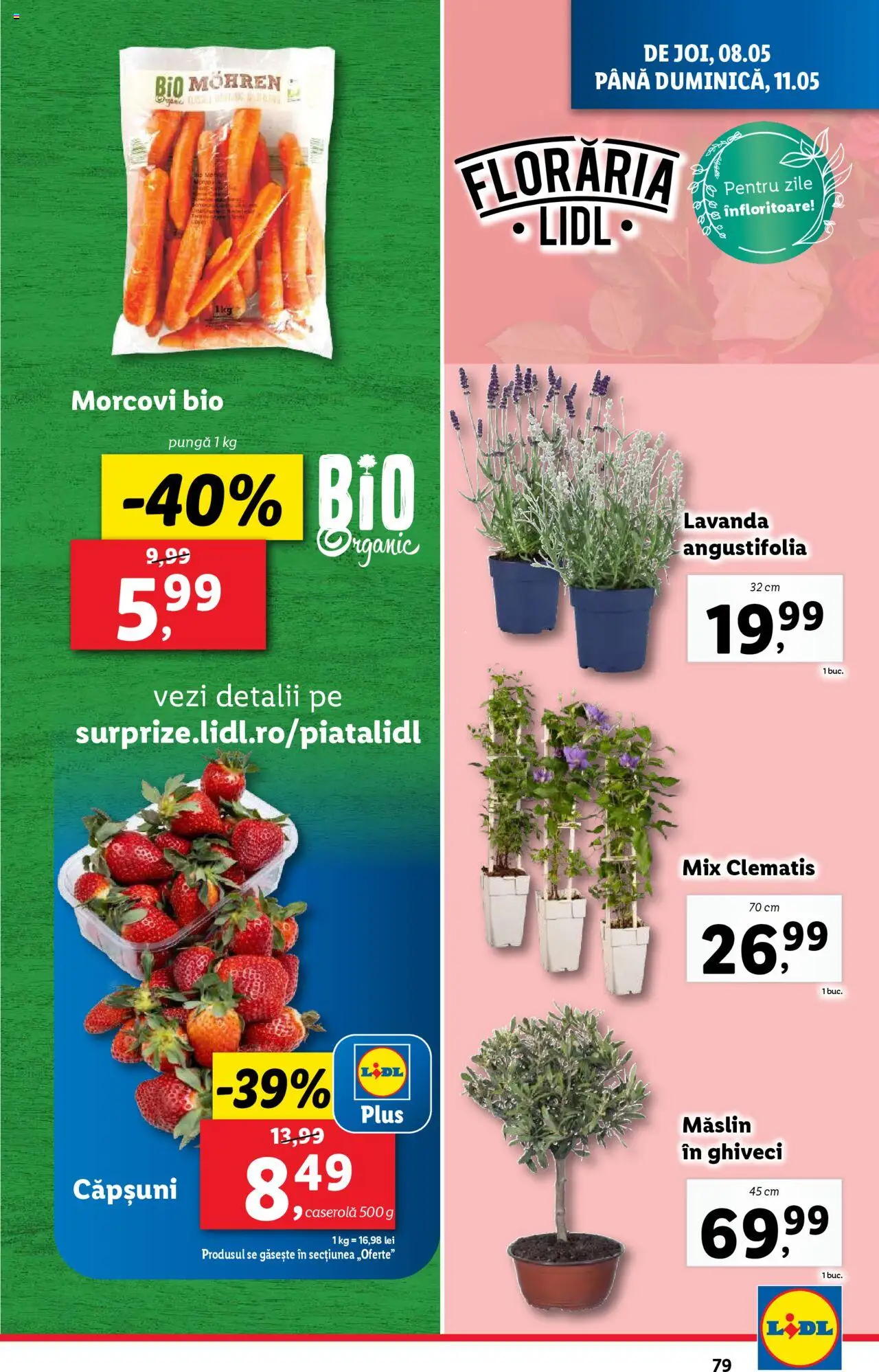 Catalog LIDL 5 - 11 Mai 2025 | Pagina 79 | Produse: Şerit ödül, Pungă, Căpșuni, Morcovi