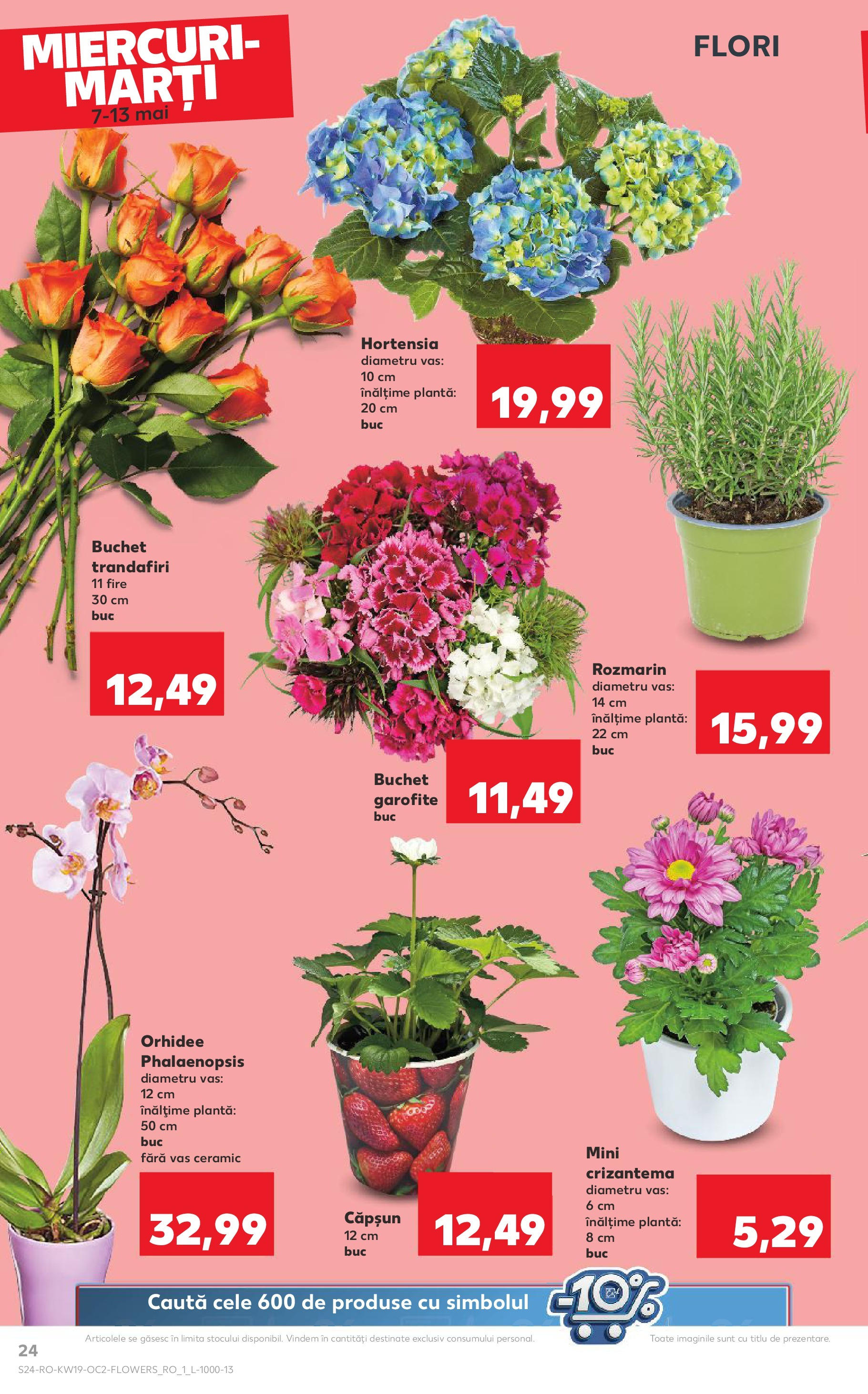 Catalog Kaufland 7 - 13 Mai 2025 | Pagina 24 | Produse: Orhidee