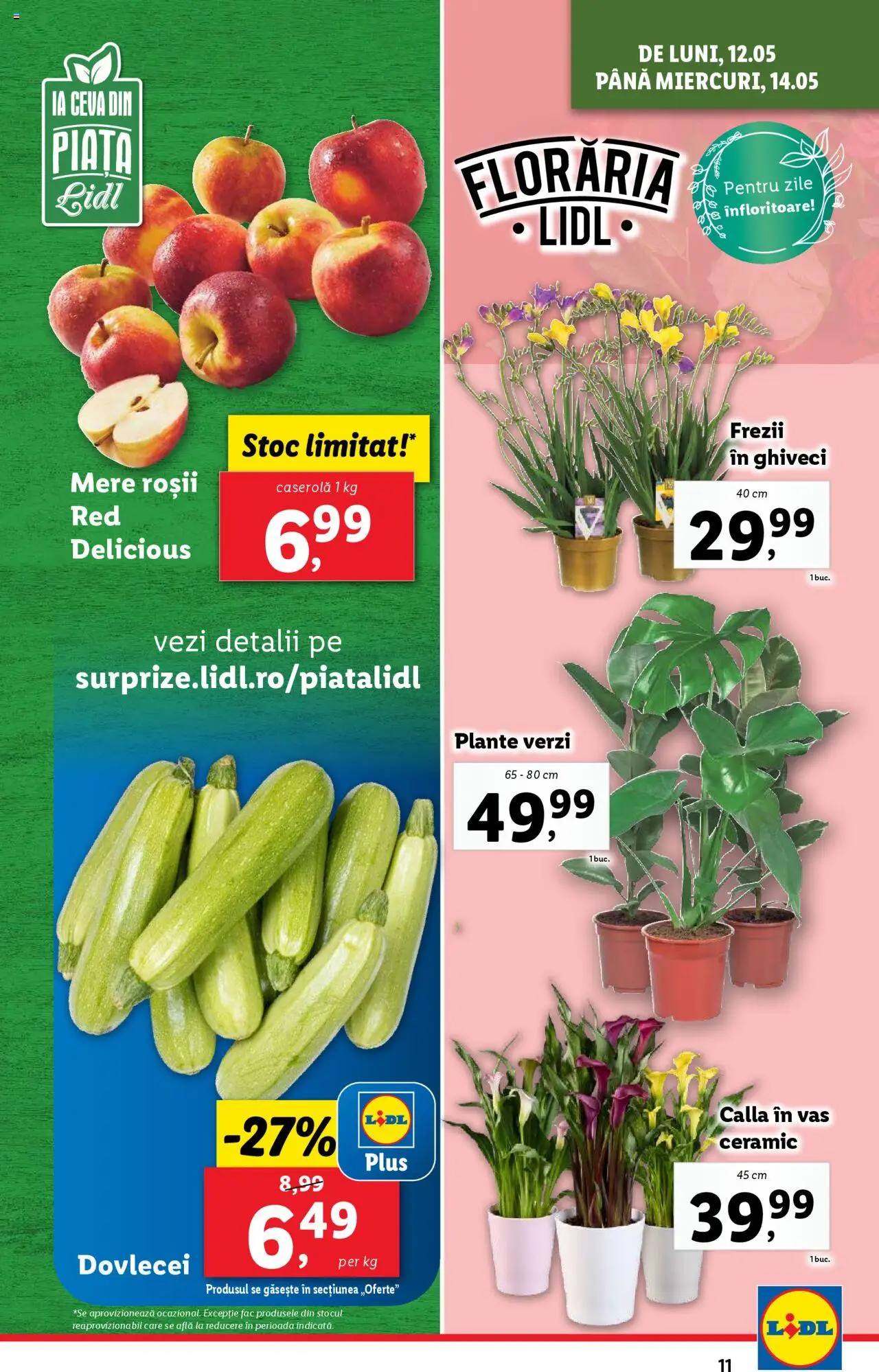 Catalog LIDL 12 - 18 Mai 2025 | Pagina 11 | Produse: Ghiveci, Mere, Roșii