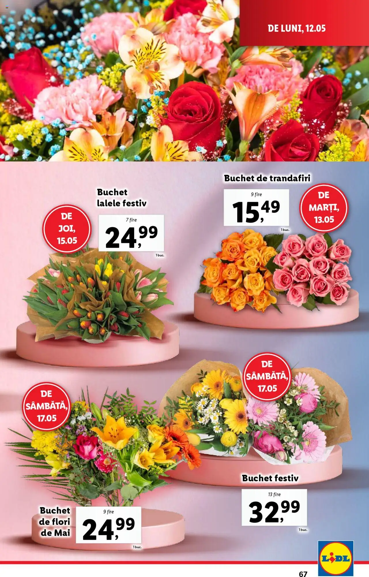 Catalog LIDL 12 - 18 Mai 2025 | Pagina 67