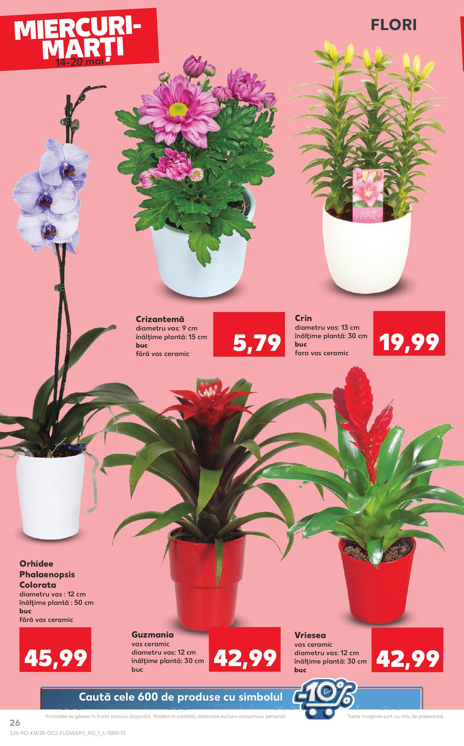Catalog Kaufland 14 - 20 Mai 2025 | Pagina 26 | Produse: Orhidee