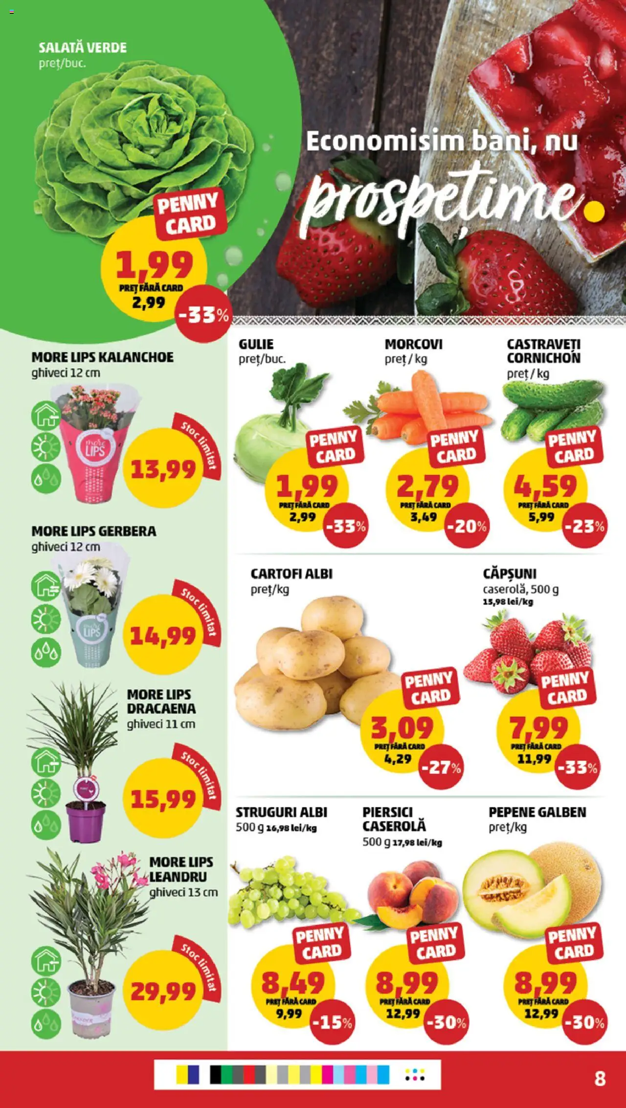 Catalog PENNY Market 14 - 20 Mai 2025 | Pagina 8 | Produse: Ghiveci, Căpșuni, Morcovi, Salată