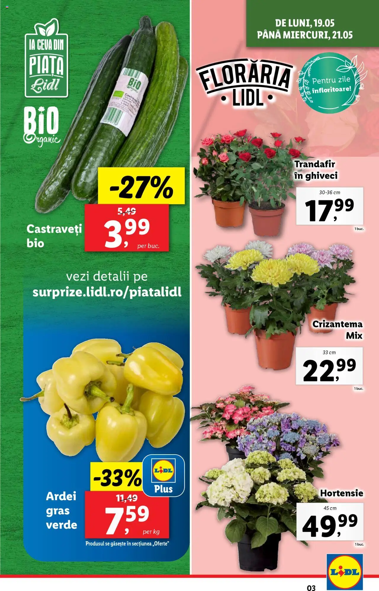 Catalog LIDL 19 - 25 Mai 2025 | Pagina 3 | Produse: Trandafir, Ghiveci, Ardei, Castraveți