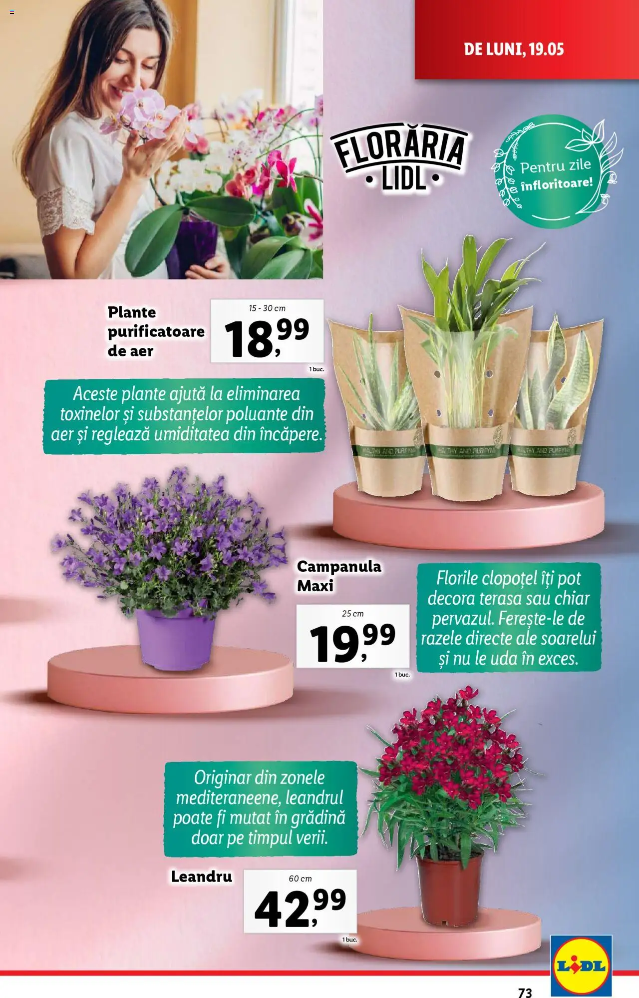 Catalog LIDL 19 - 25 Mai 2025 | Pagina 73