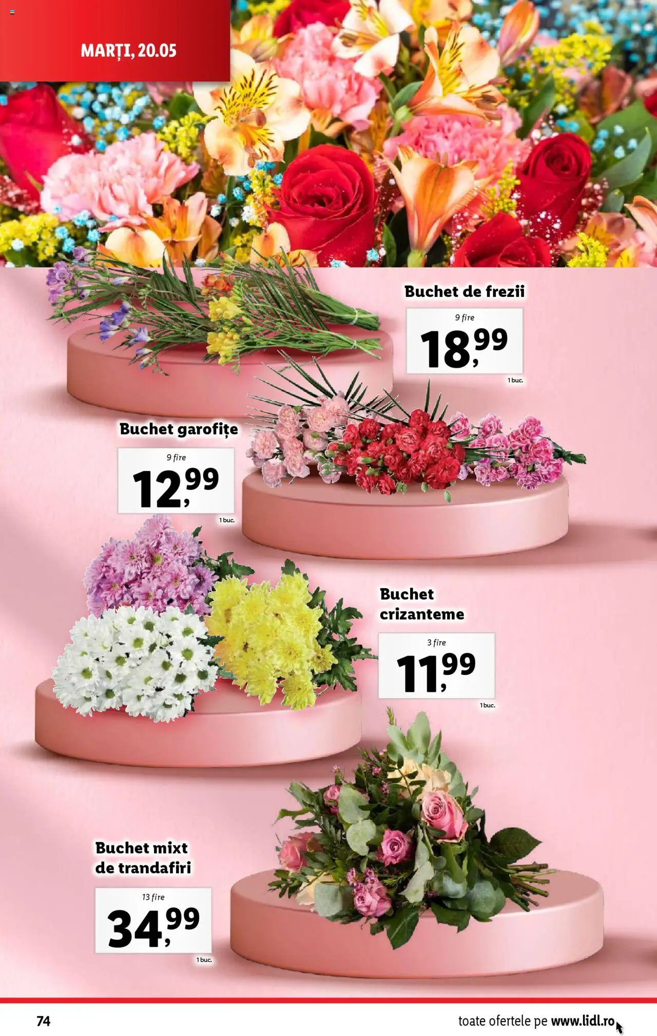 Catalog LIDL 19 - 25 Mai 2025 | Pagina 74