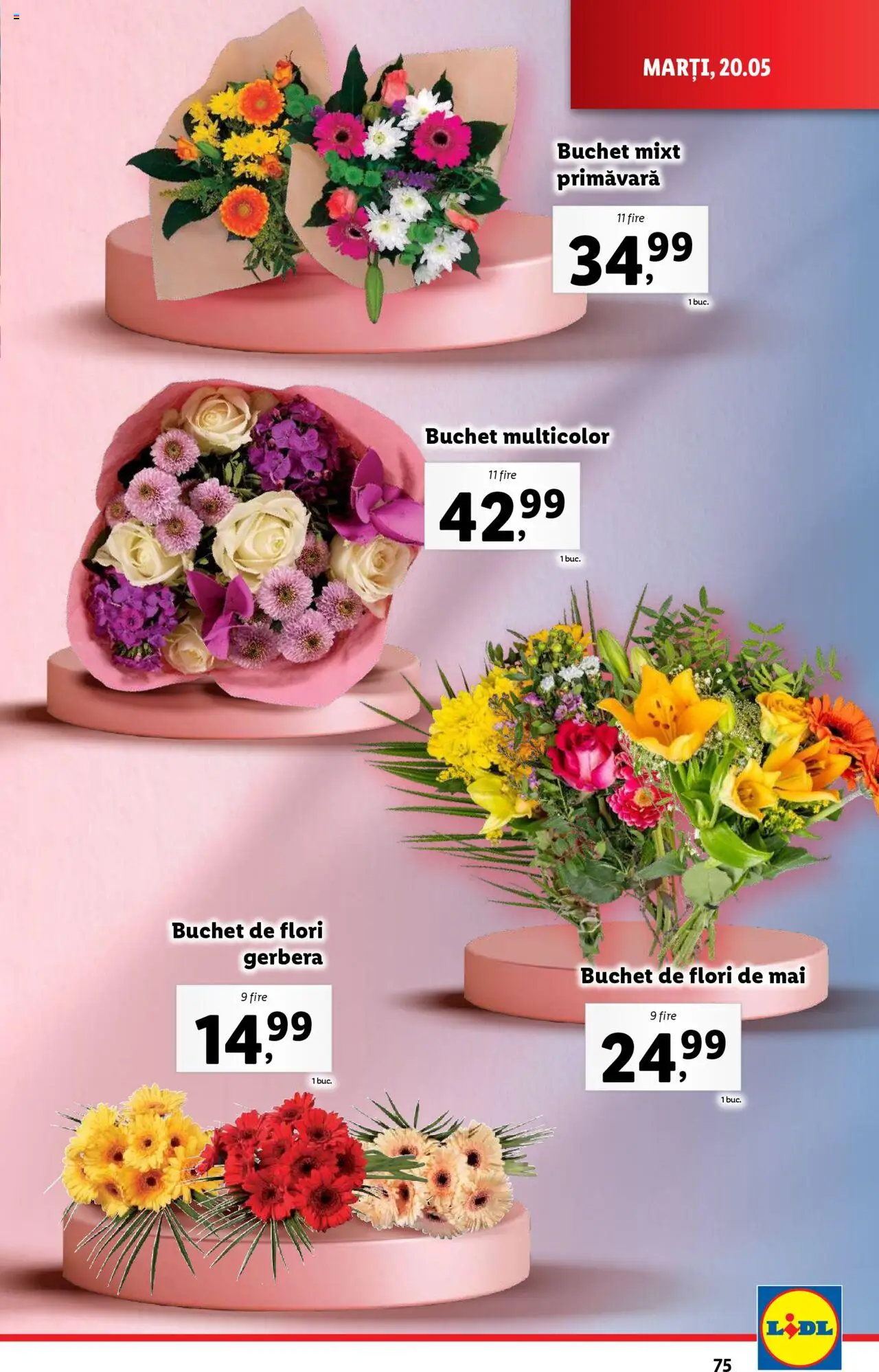 Catalog LIDL 19 - 25 Mai 2025 | Pagina 75