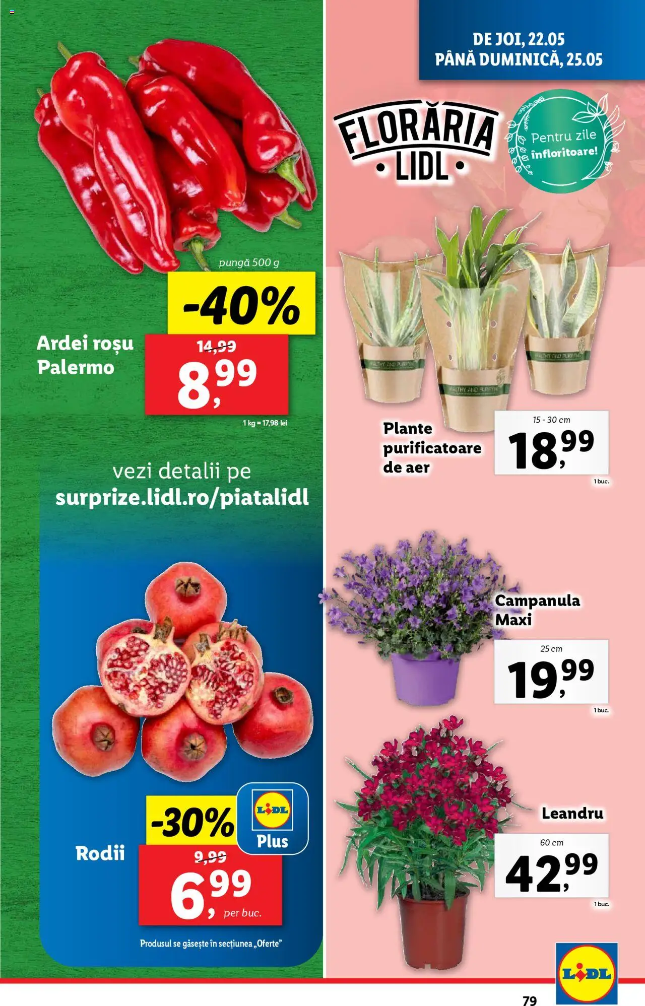 Catalog LIDL 19 - 25 Mai 2025 | Pagina 79 | Produse: Pungă, Ardei