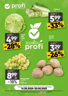Catalog Profi