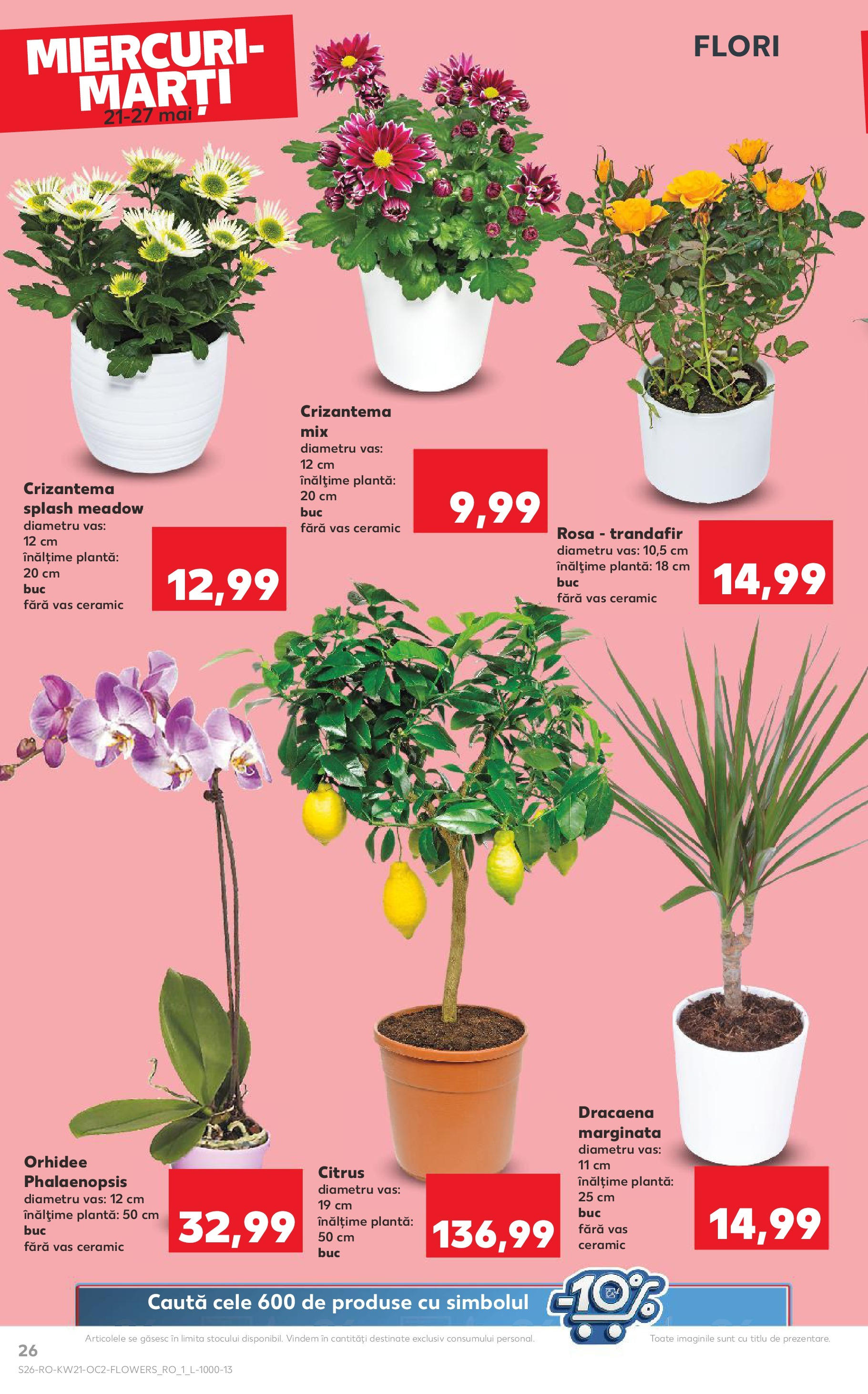 Catalog Kaufland 21 - 27 Mai 2025 | Pagina 26 | Produse: Trandafir, Orhidee
