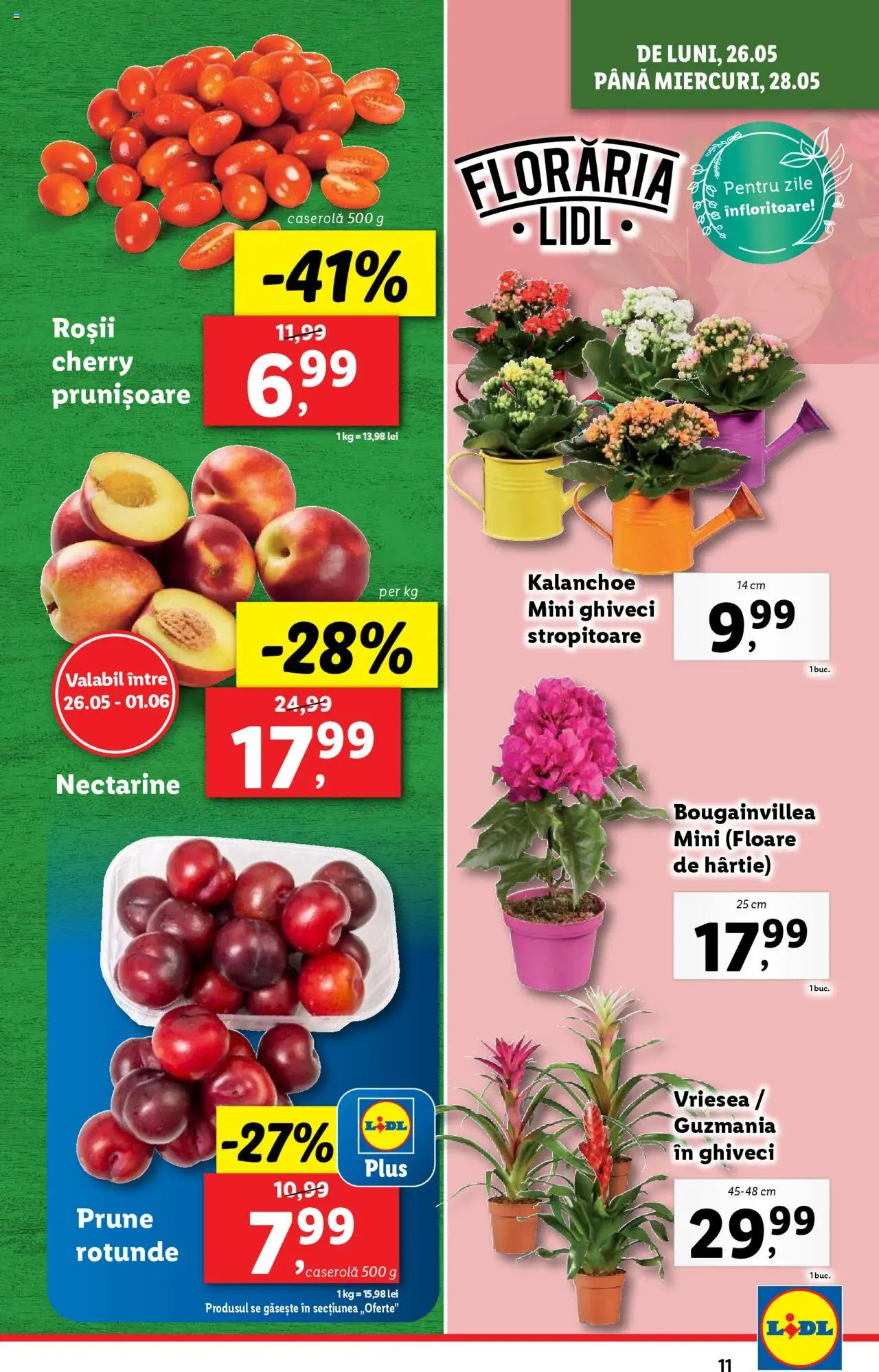 Catalog LIDL 26 Mai - 1 Iunie 2025 | Pagina 11 | Produse: Temizlik kovası, Ghiveci, Roșii, Prune