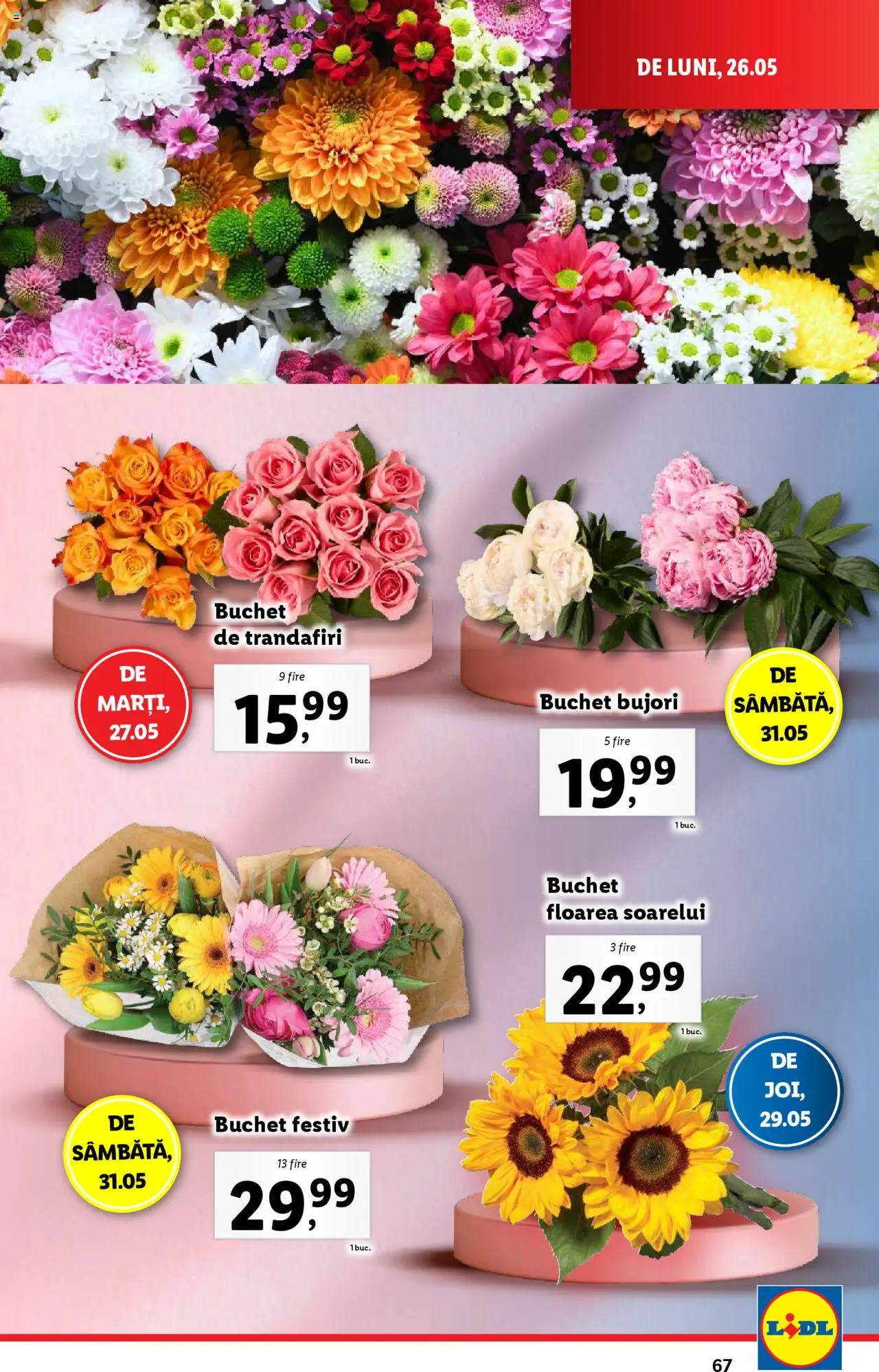 Catalog LIDL 26 Mai - 1 Iunie 2025 | Pagina 67 | Produse: Bant