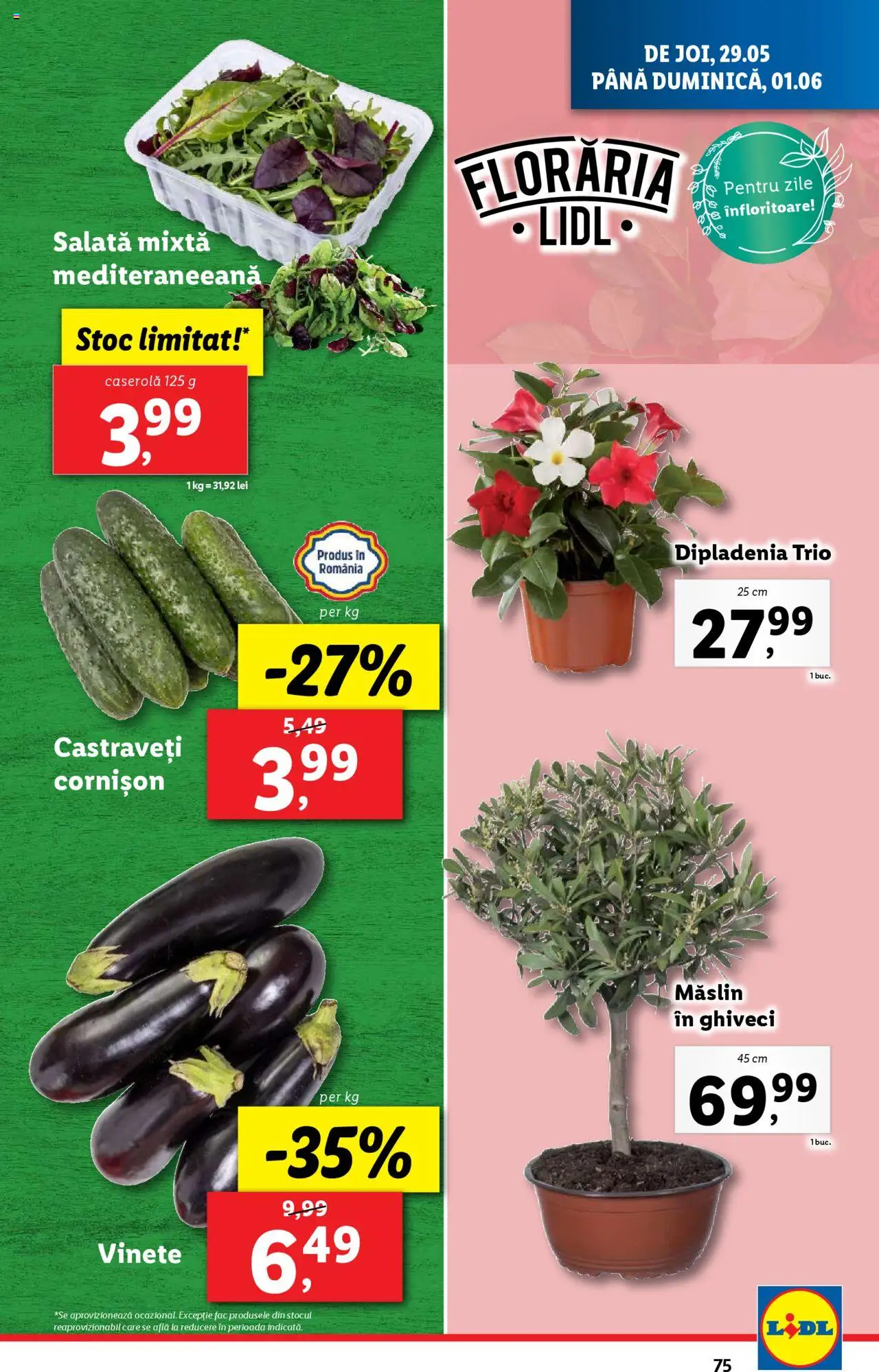 Catalog LIDL 26 Mai - 1 Iunie 2025 | Pagina 75 | Produse: Dipladenia, Ghiveci, Castraveți, Salată