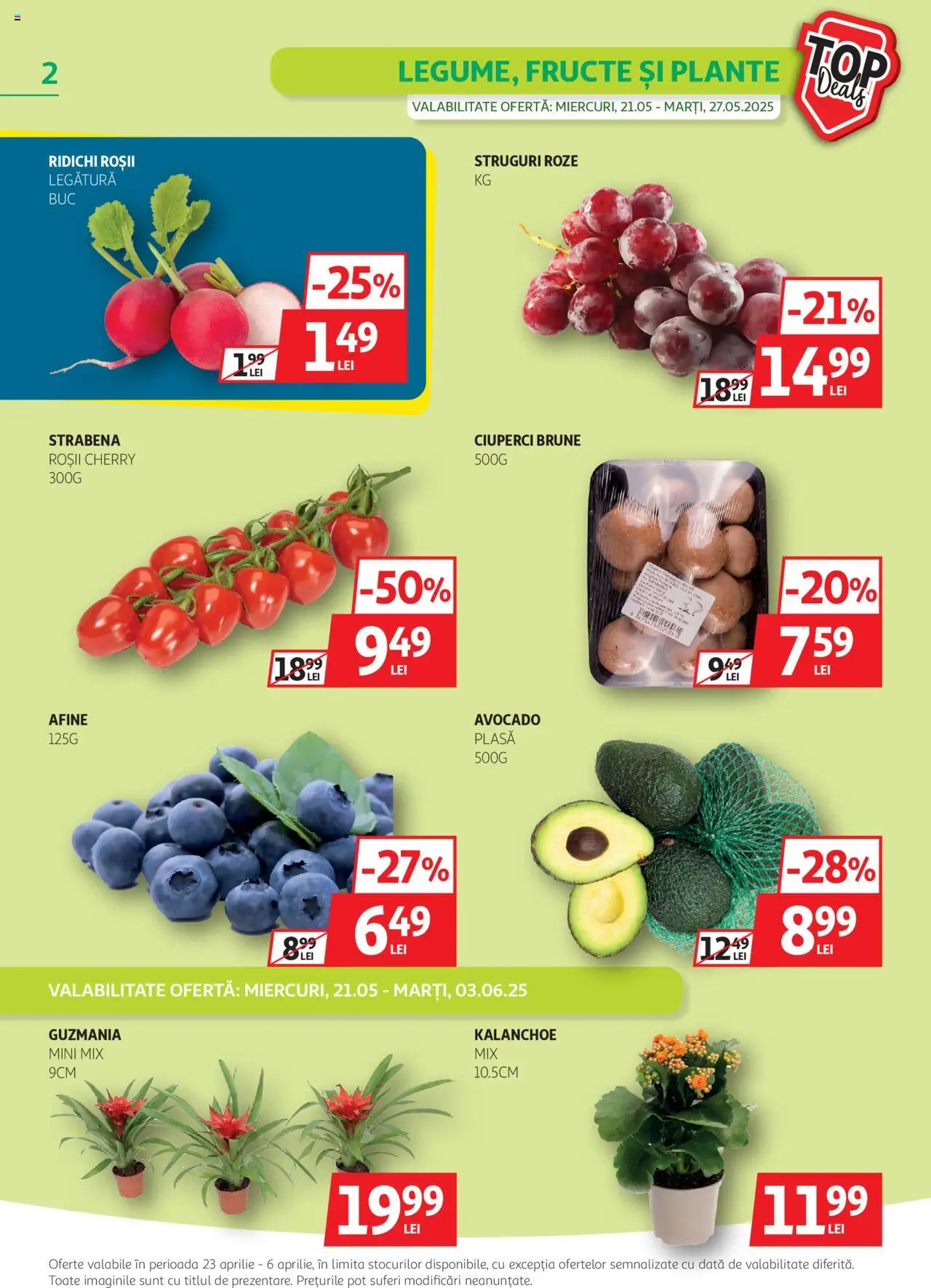 Catalog Auchan 21 Mai - 3 Iunie 2025 | Pagina 2 | Produse: Struguri, Afine, Sıcak çikolata, Fructe