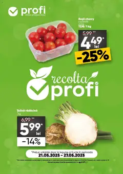 Catalog Profi