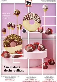Catalog Mega Image