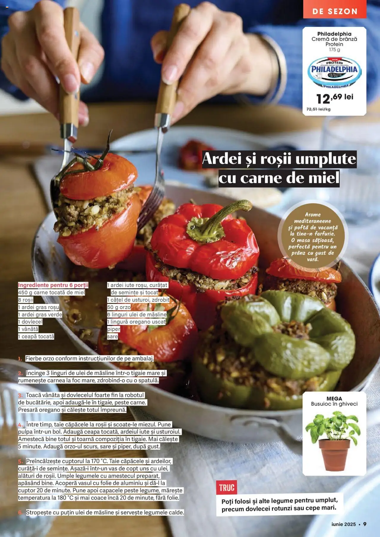 Catalog Mega Image 29 Mai - 24 Iunie 2025 | Pagina 9 | Produse: Ghiveci, Brânză, Roșii, Piper
