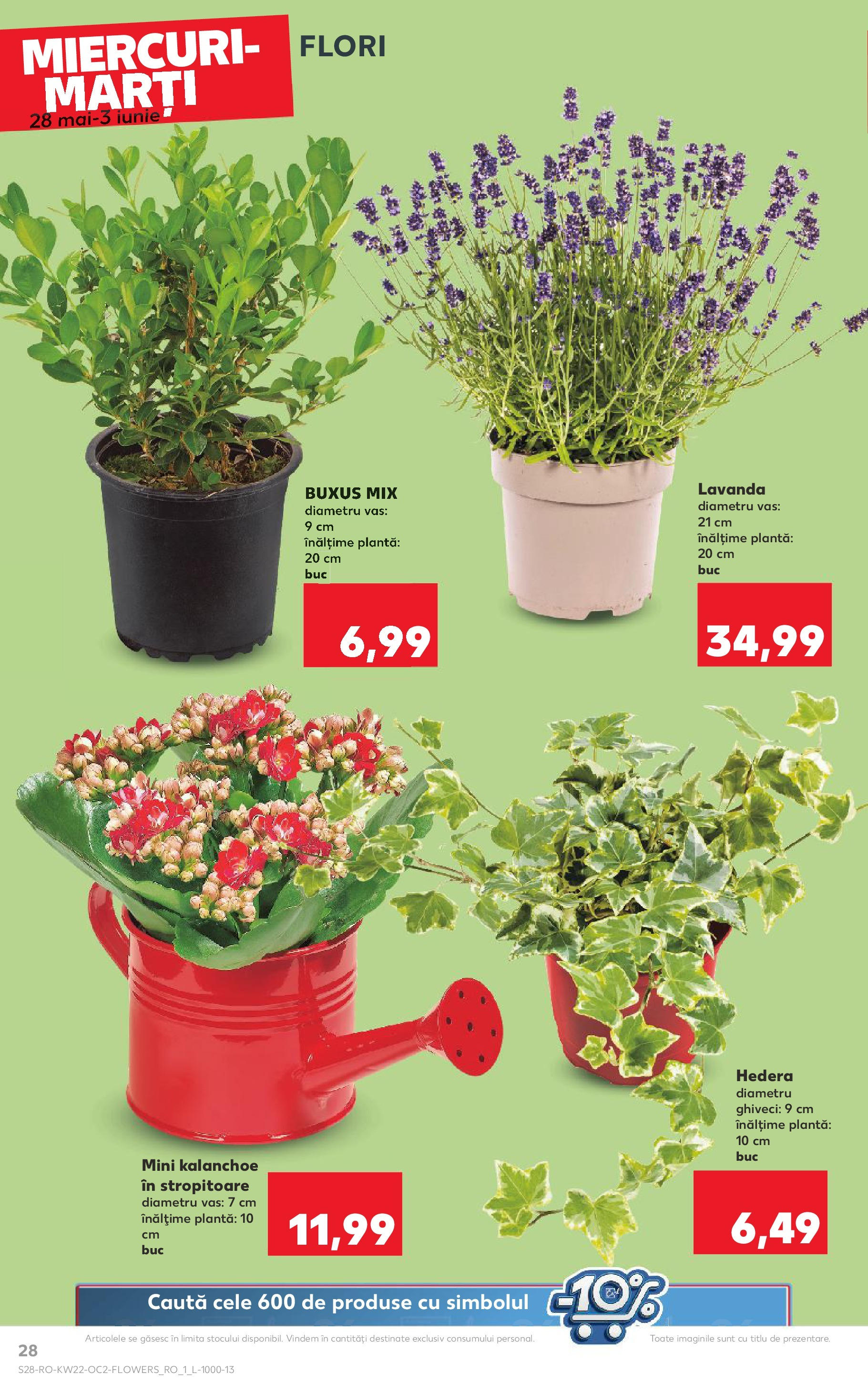 Catalog Kaufland 27 Mai - 3 Iunie 2025 | Pagina 28 | Produse: Ghiveci