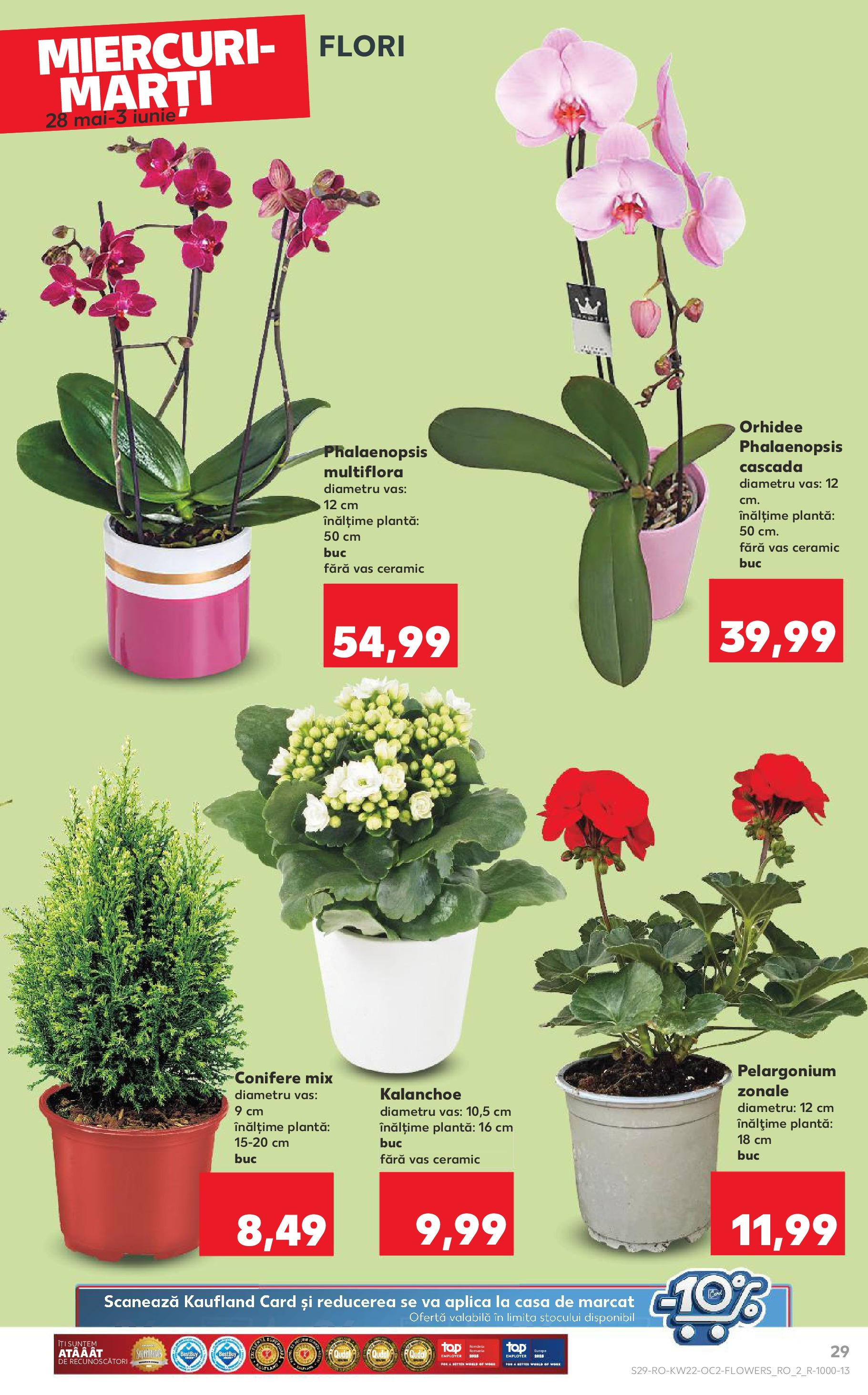 Catalog Kaufland 27 Mai - 3 Iunie 2025 | Pagina 29 | Produse: Orhidee