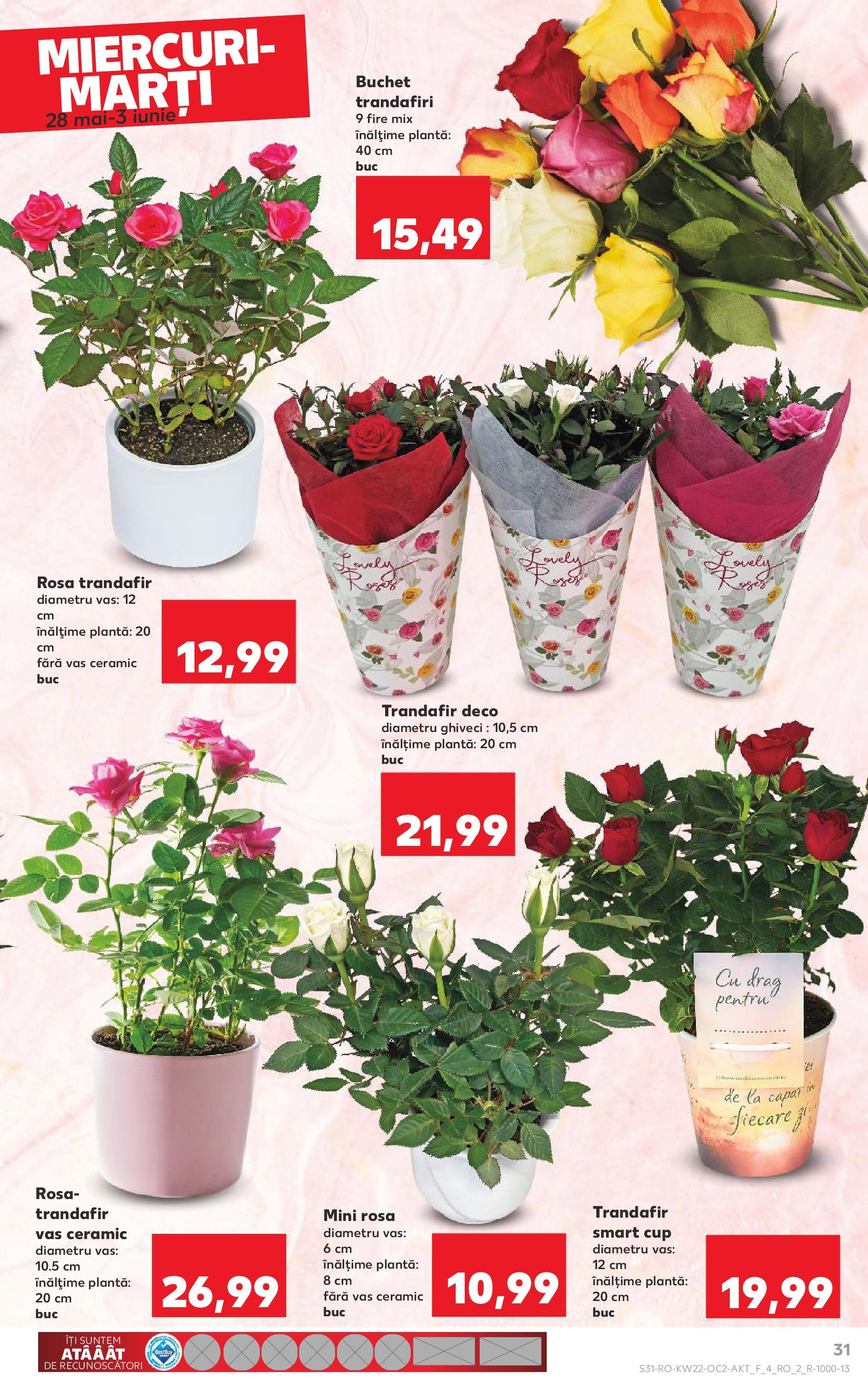 Catalog Kaufland 27 Mai - 3 Iunie 2025 | Pagina 31 | Produse: Trandafir, Ghiveci