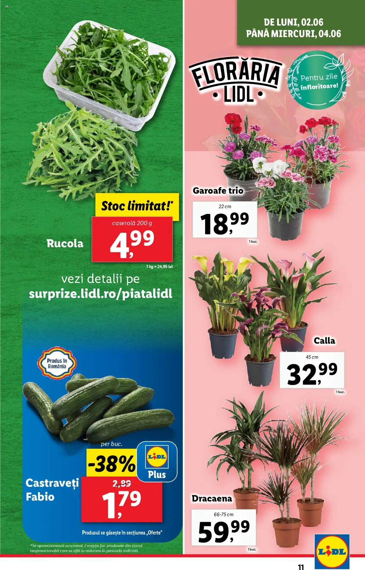 Catalog LIDL 2 - 8 Iunie 2025 | Pagina 11 | Produse: Castraveți