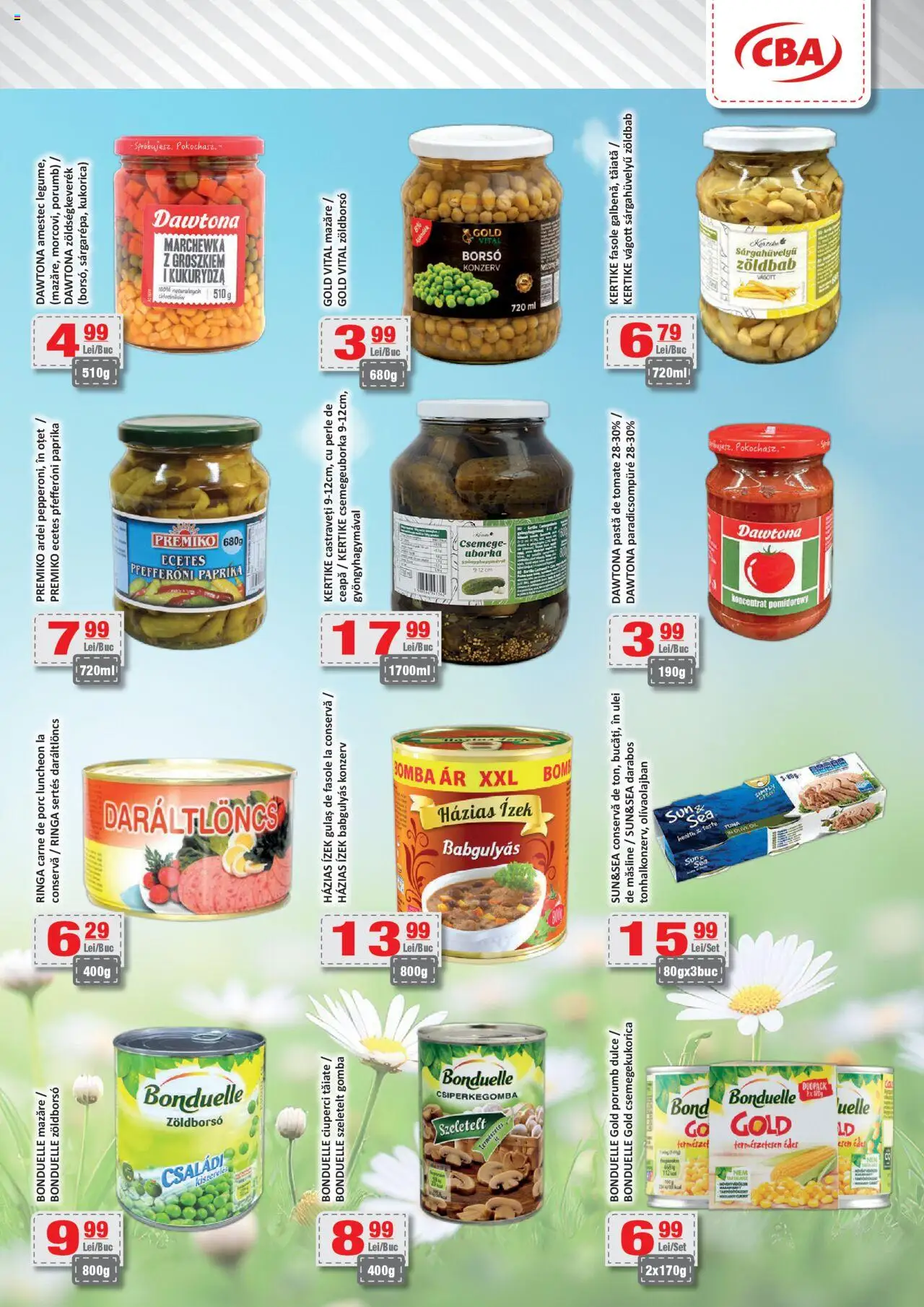 Catalog CBA 12 - 23 Iunie 2025 | Pagina 6 | Produse: Akrilik boya, Măsline, Pastă de tomate, Castraveți