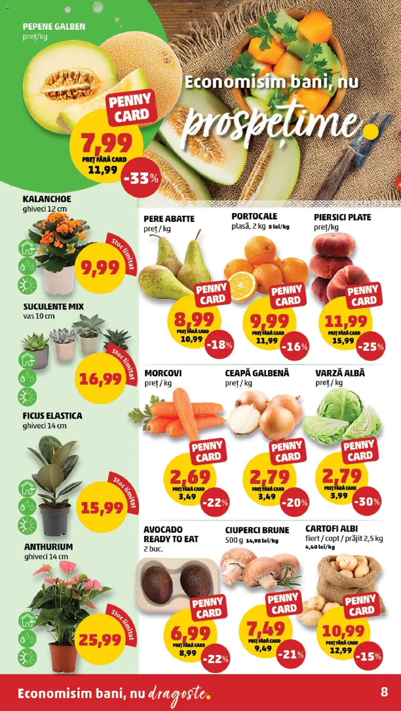 Catalog PENNY Market 28 Mai - 2 Iunie 2025 | Pagina 8 | Produse: Ghiveci, Ciuperci, Portocale, Ceapă