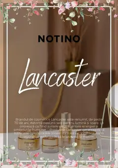 Catalog Notino