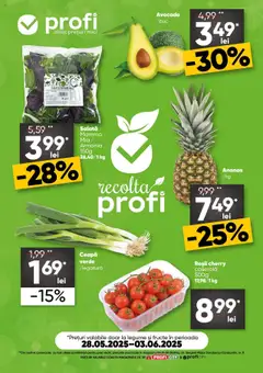 Catalog Profi