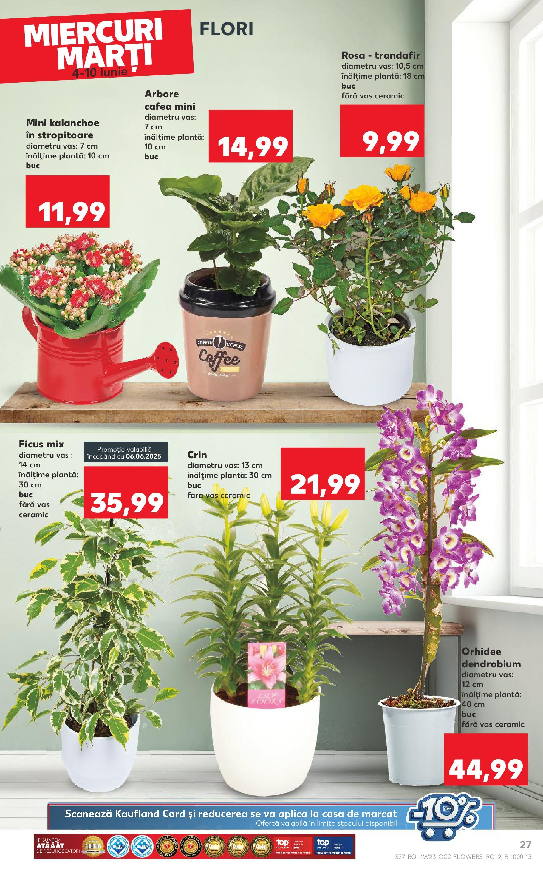 Catalog Kaufland 4 - 9 Iunie 2025 | Pagina 27 | Produse: Trandafir, Orhidee, Cafea