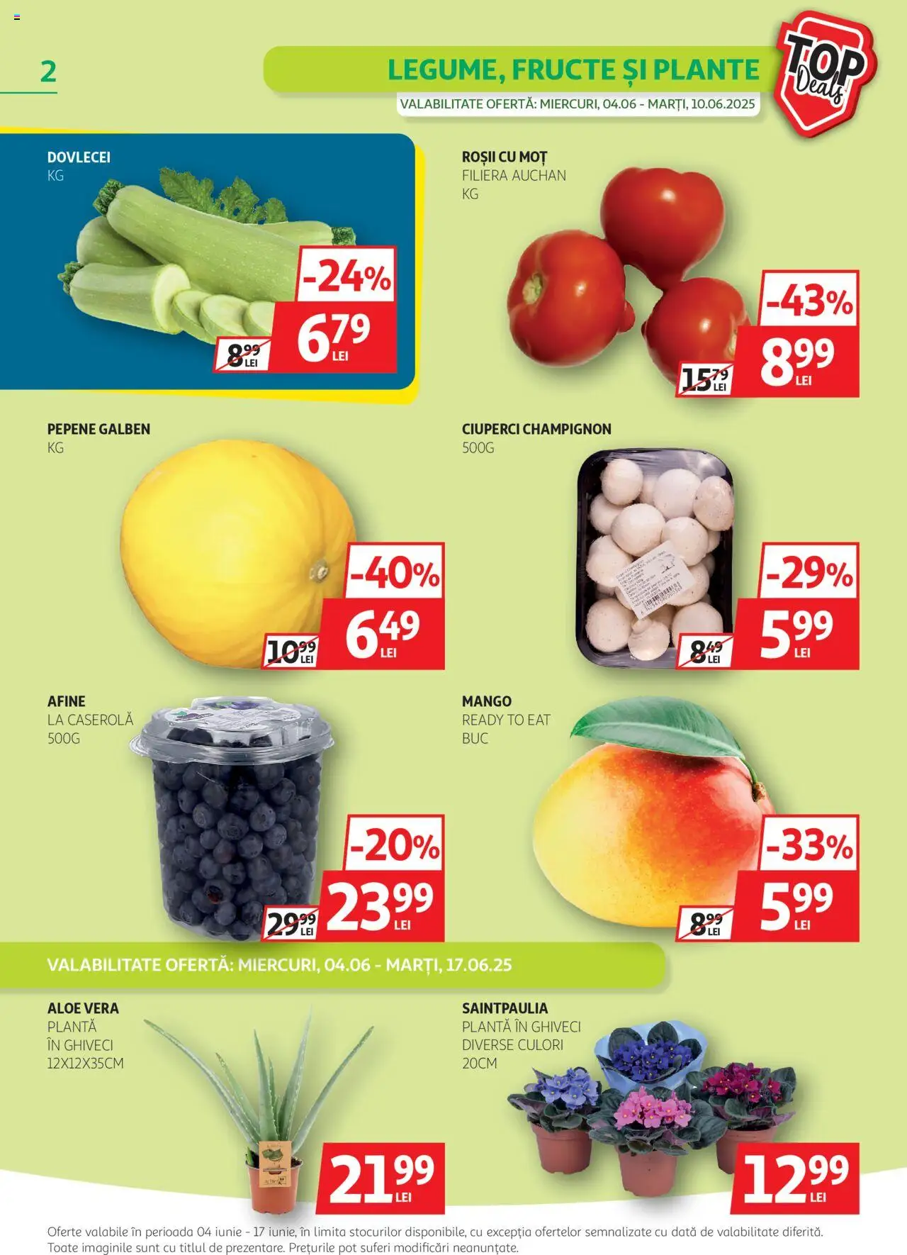 Catalog Auchan 4 - 16 Iunie 2025 | Pagina 2 | Produse: Afine, Aloe vera, Ghiveci, Roșii