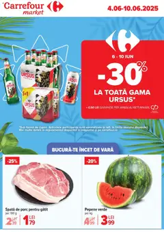 Catalog Carrefour