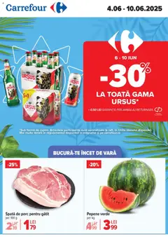Catalog Carrefour