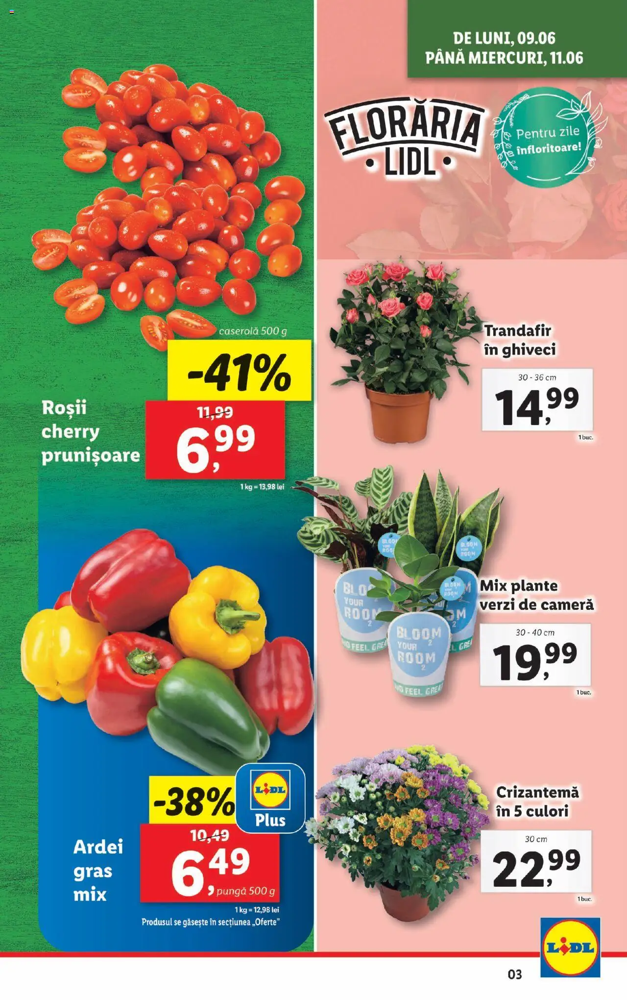 Catalog LIDL 9 - 14 Iunie 2025 | Pagina 3 | Produse: Cameră, Ghiveci, Ardei, Roșii