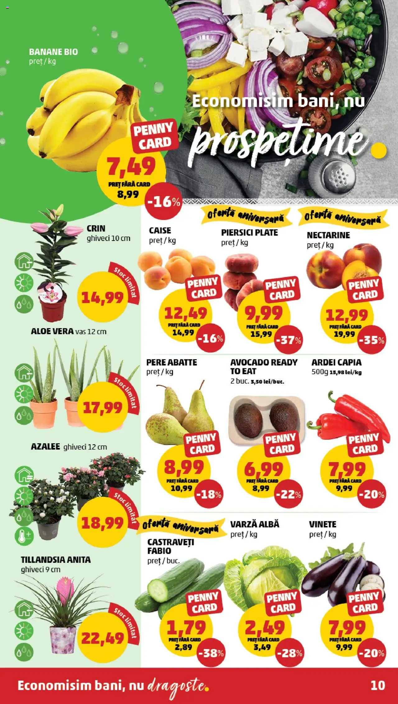 Catalog PENNY Market 11 - 16 Iunie 2025 | Pagina 10 | Produse: Konuşturucu Kuş Yemleri, Banane, Avocado, Ahtapot