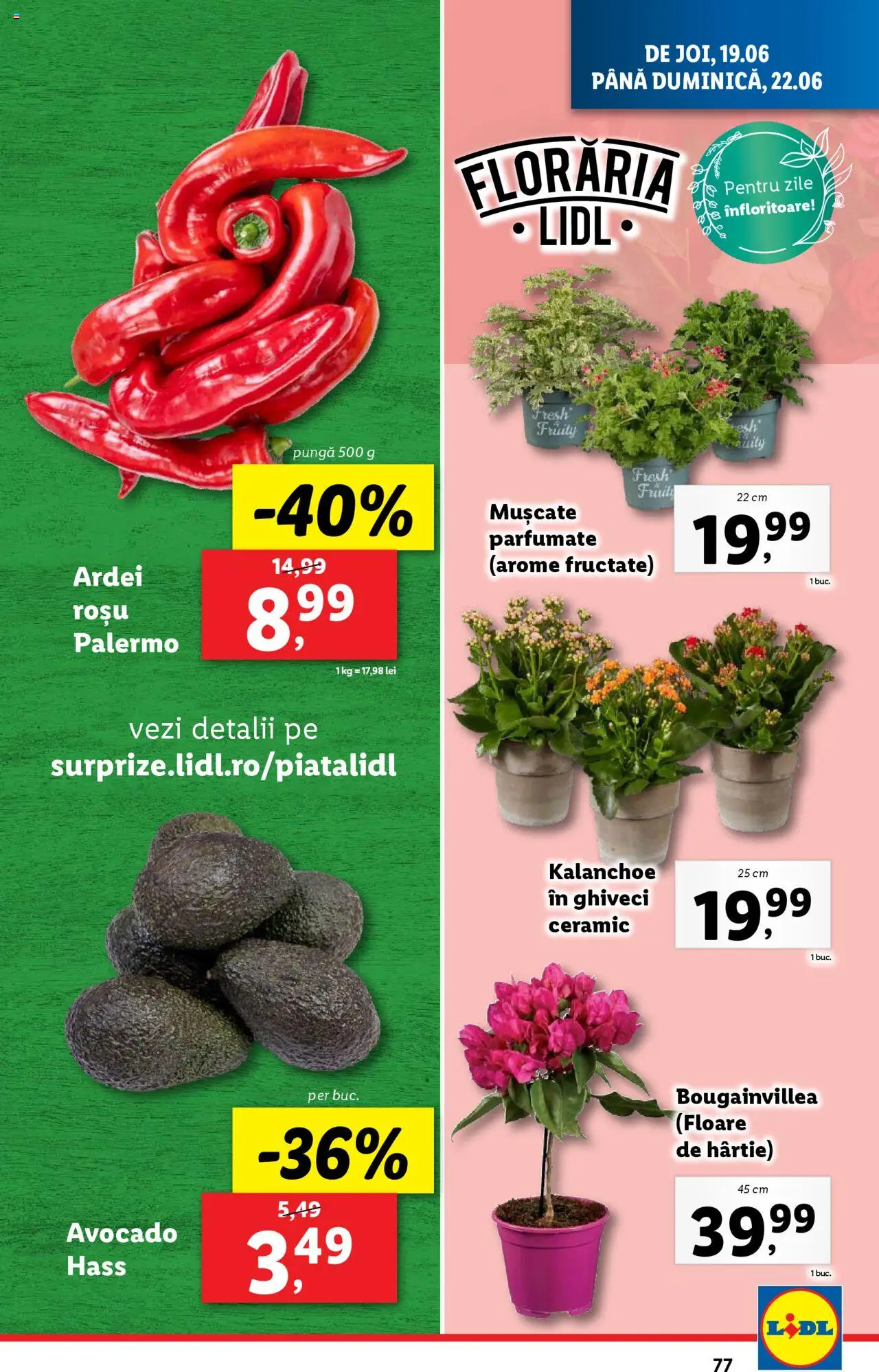 Catalog LIDL 16 - 21 Iunie 2025 | Pagina 77 | Produse: Pungă, Ghiveci, Ardei, Avocado