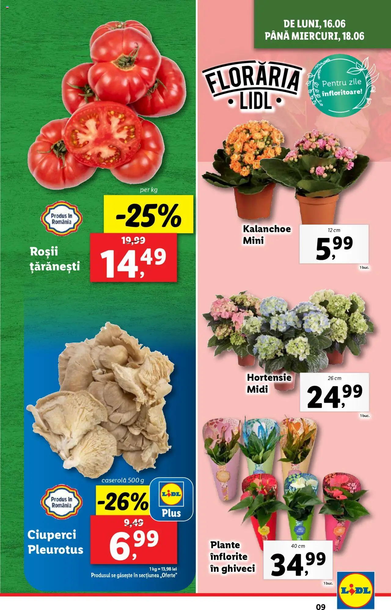 Catalog LIDL 16 - 21 Iunie 2025 | Pagina 9 | Produse: Ghiveci, Ciuperci, Roșii