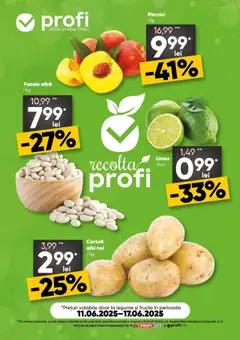 Catalog Profi